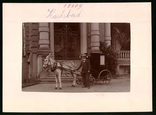 Fotografie Brück & Sohn Meissen, Ansicht Karlsbad, Kutscher mit Eselgespann