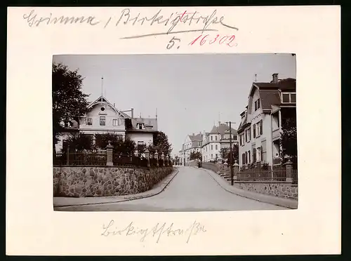 Fotografie Brück & Sohn Meissen, Ansicht Grimma, Birkigstrasse mit Villa