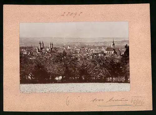 Fotografie Brück & Sohn Meissen, Ansicht Naumburg a. d. Saale, Blick auf die Stadt vom Kirchberg aus gesehen