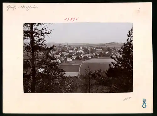 Fotografie Brück & Sohn Meissen, Ansicht Grossdorfhain, Blick vom Wald auf die Stadt