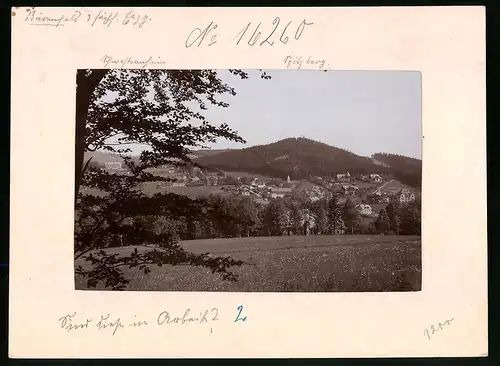 Fotografie Brück & Sohn Meissen, Ansicht Bärenfels i. Erzg., Blick auf den Ort vom Hofehübel