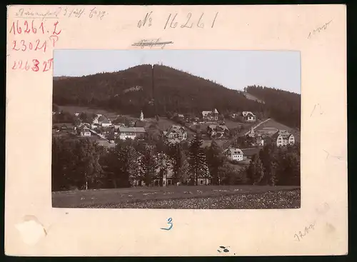 Fotografie Brück & Sohn Meissen, Ansicht Bärenfels i. Erzg., Blick auf den Ort mit Wohnhäusern