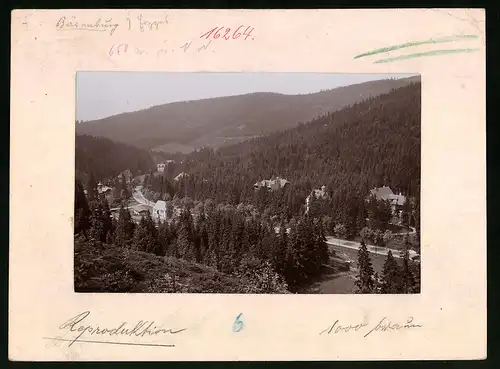 Fotografie Brück & Sohn Meissen, Ansicht Bärenburg i. Erzg., Teilansicht des Ortes im Tal