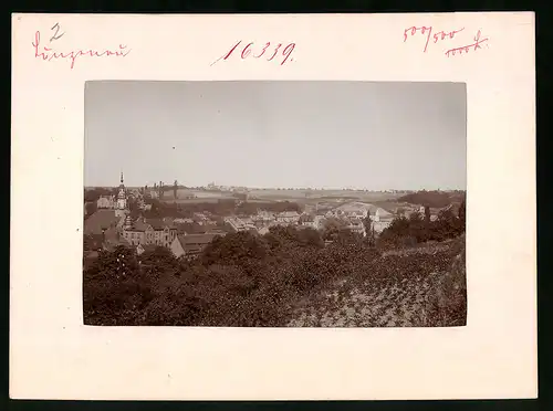 Fotografie Brück & Sohn Meissen, Ansicht Lunzenau a. d. Mulde, Blick auf die Stadt mit Kirche