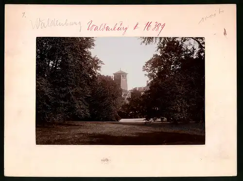 Fotografie Brück & Sohn Meissen, Ansicht Waldenburg i. Sa., Partie im Schlossgarten mit Teilansicht des Schlosses