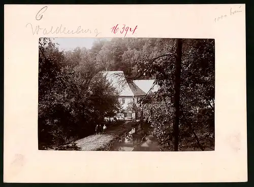 Fotografie Brück & Sohn Meissen, Ansicht Waldenburg i. Sa., Blick auf die Glänzelmühle im Park Grünfeld