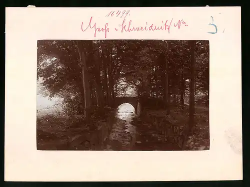 Fotografie Brück & Sohn Meissen, Ansicht Grossschweidnitz, Bachlauf im Park mit Brücke