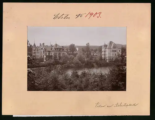 Fotografie Brück & Sohn Meissen, Ansicht Bad Elster, Blick auf die Villen am Albertpark