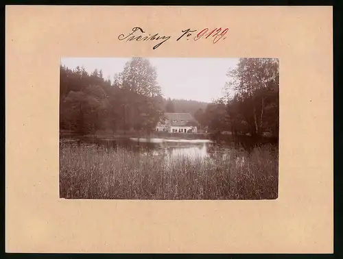 Fotografie Brück & Sohn Meissen, Ansicht Freiberg i. Sa., Partie am Teich im Muldental mit Wohnhaus