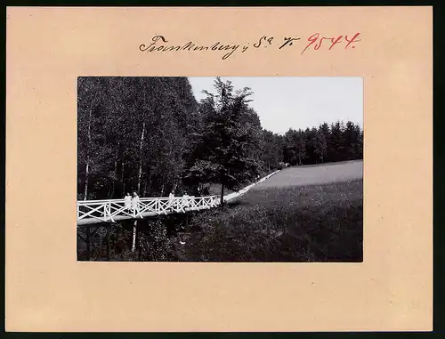 Fotografie Brück & Sohn Meissen, Ansicht Frankenberg i. Sa., Partie am Eingang zum Lützeltal, Holzbrücke