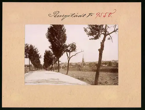 Fotografie Brück & Sohn Meissen, Ansicht Burgstädt i. Sa., Blick von der Peniger Strasse auf den Ort mit Kirche