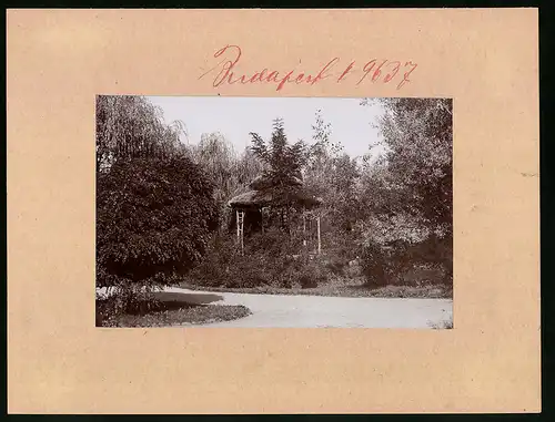Fotografie Brück & Sohn Meissen, Ansicht Siofok, Pavillon im Uferpark am Plattensee