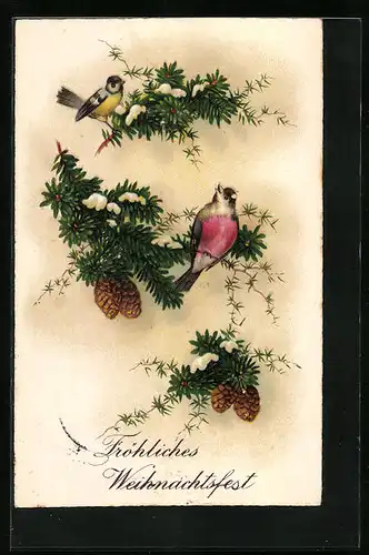 Künstler-AK Fröhliches Weihnachtsfest, Vögel auf Tannenzweigen