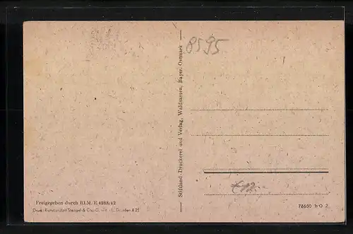 AK Waldsassen, Gesamtansicht, Kirche, Johannisbrücke, Kloster