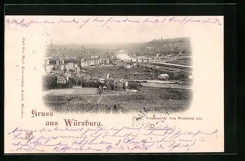 AK Würzburg, Totalansicht vom Steinberg aus