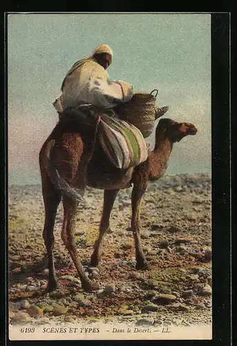 AK Beduine mit Korb auf einem Kamel in der Wüste