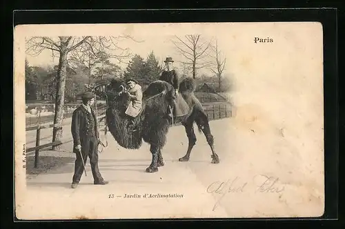 AK Zwei Knaben auf einem Kamel im Jardin d`Acclimation in Paris