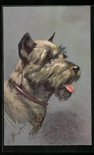 Künstler-AK Seitenportrait eines Pinschers (Schnauzer) mit herausgestreckter Zunge