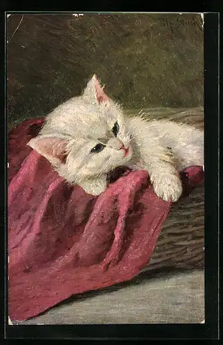 Künstler-AK Kleine weisse Katze auf einem roten Tuch im Körbchen
