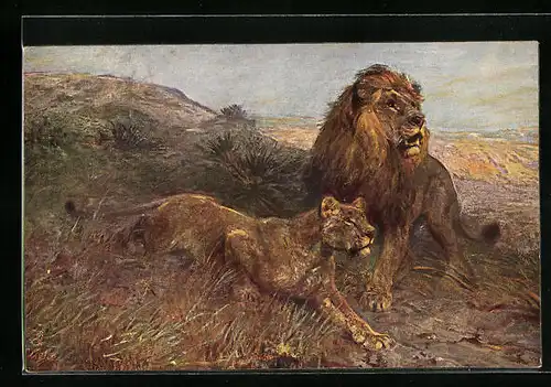 Künstler-AK Löwenpaar in freier Wildbahn