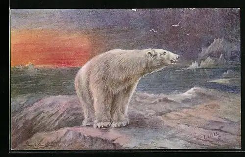 Künstler-AK Eisbär auf einer Scholle im Eismeer