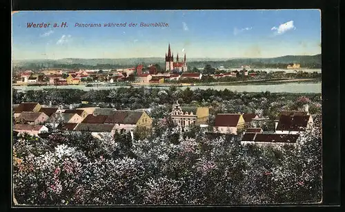 AK Werder a. H., Panorama während der Baumblüte