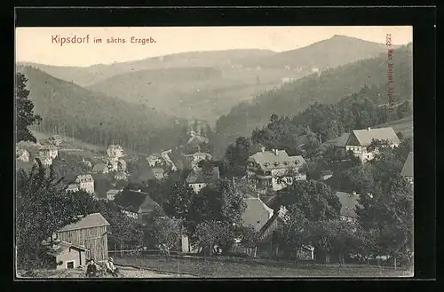 AK Kipsdorf /Sächs. Erzgeb., Gesamtansicht ins Tal