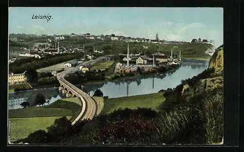 AK Leisnig, Totalansicht aus der Ferne