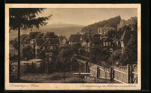 AK Braunlage i. Harz, Ramsenweg mit Achtermannsblick