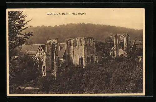 AK Walkenried /Harz, Klosterruine aus der Vogelschau
