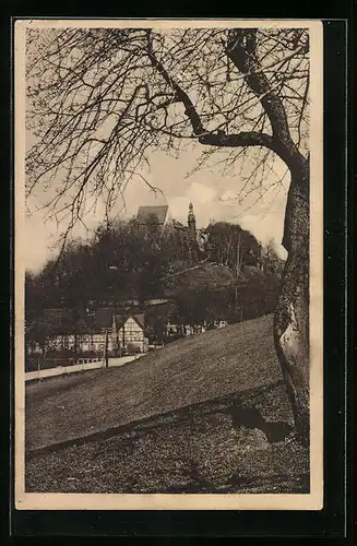 AK Wildenfels i. Erzgeb., Blick zum Schloss Wildenfels
