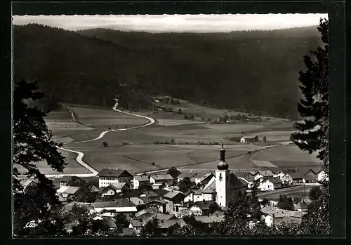 AK Arnbruck /Bay., Teilansicht aus der Vogelschau