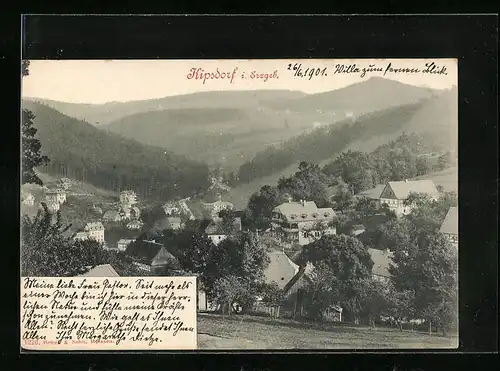 AK Kipsdorf /Erzgeb., Ortsansicht aus der Vogelschau