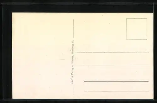 AK Salon-Dampfer Cobra der H.-A.-Linie auf hoher See