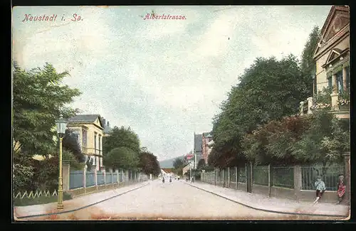 AK Neustadt i. Sa., Ansicht der Albertstrasse