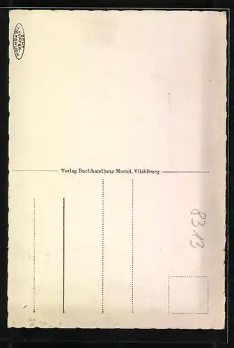 AK Vilsbiburg, Partie am Markt