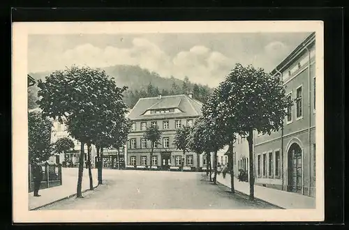 AK Bad Gottleuba, Hotel Kronprinz