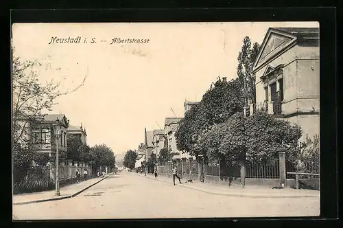 AK Neustadt i. S., Albertstrasse mit Jungen