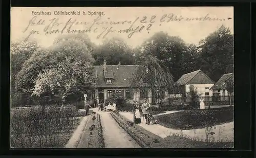 AK Cöllnischfeld bei Springe, Forsthaus - Gartenansicht mit Förster und Hund