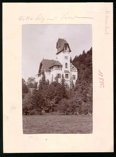Fotografie Brück & Sohn Meissen, Ansicht Marienbad, Villa Lug ins Land