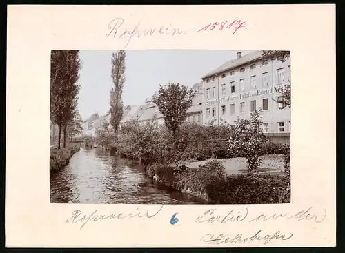 Fotografie Brück & Sohn Meissen, Ansicht Rosswein, Wehrstrasse mit Strumpf - und Filzwaren-Fabrik Eduard Nestler