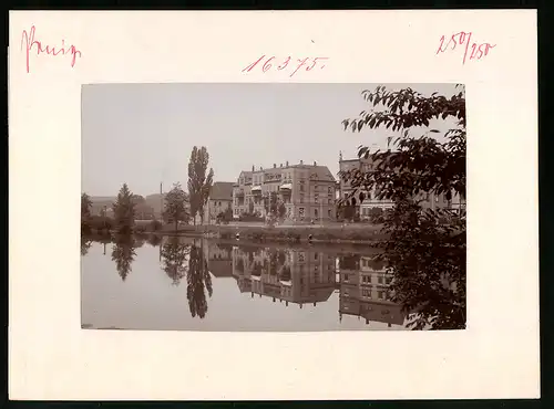 Fotografie Brück & Sohn Meissen, Ansicht Penig, Thierbacherstrasse, Gebäude spiegeln sich im Wasser der Mulde, Reflektion