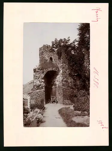 Fotografie Brück & Sohn Meissen, Ansicht Penig i. Sa., Partie an der Ruine auf dem Kirchhof