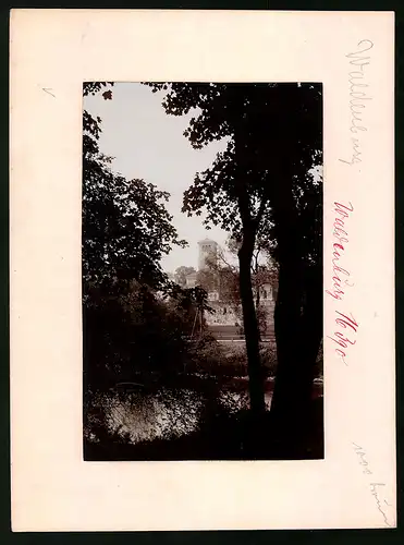 Fotografie Brück & Sohn Meissen, Ansicht Waldenburg i. Sa., Blick vom Wald nach dem Schloss