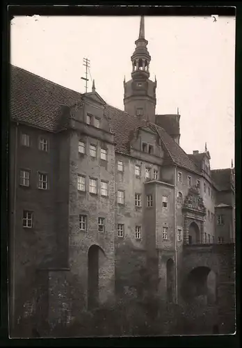 Fotografie Brück & Sohn Meissen, Ansicht Torgau a. Elbe, Blick auf Schloss Hartenfels vom Bärengraben aus gesehen