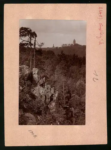 Fotografie Brück & Sohn Meissen, Ansicht Rochsburg, Blick über den Wald auf das Schloss Rochsburg