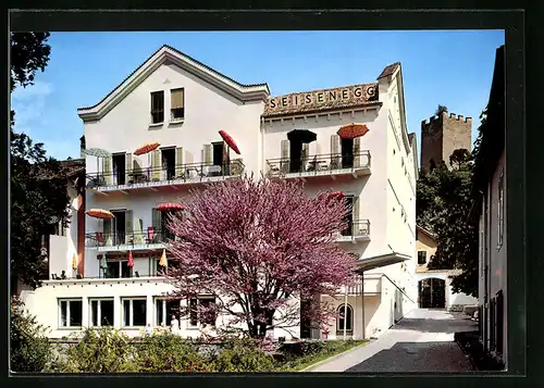 AK Meran, Hotel Garni Seisenegg, Gartenstrasse 1, Aussenansicht mit Judasbaum