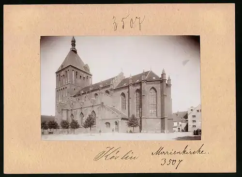 Fotografie Brück & Sohn Meissen, Ansicht Köslin, Blick auf die Marienkirche