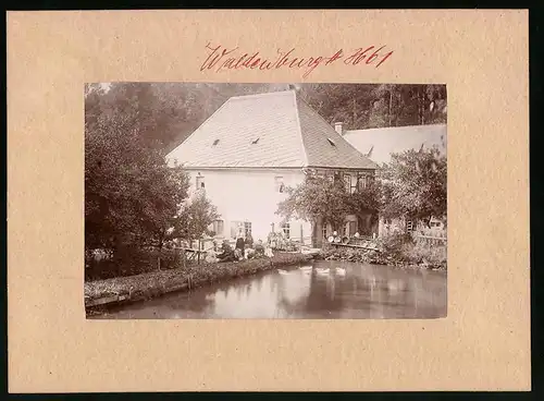 Fotografie Brück & Sohn Meissen, Ansicht Waldenburg i. Sa., Blick auf die Glänzelmühle im Park Grünfeld