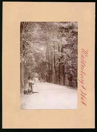 Fotografie Brück & Sohn Meissen, Ansicht Waldenburg i. Sa., Eingang zum Park Grünfeld, Kinder mit Fotoapparat Dreibein
